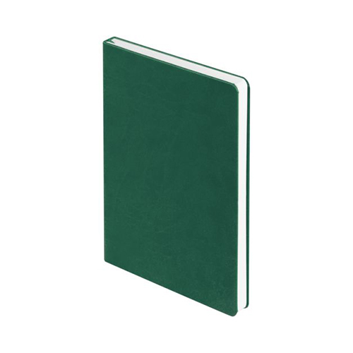 Ежедневник с твердой обложкой с логотипом (256 стр) Зеленый