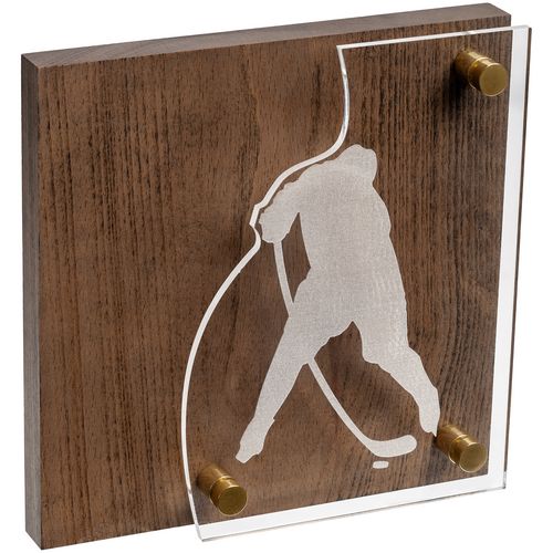 Награда с логотипом хоккей