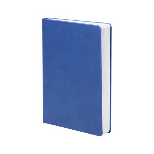 Датированный ежедневник на 2022 год с логотипом Светло-синий