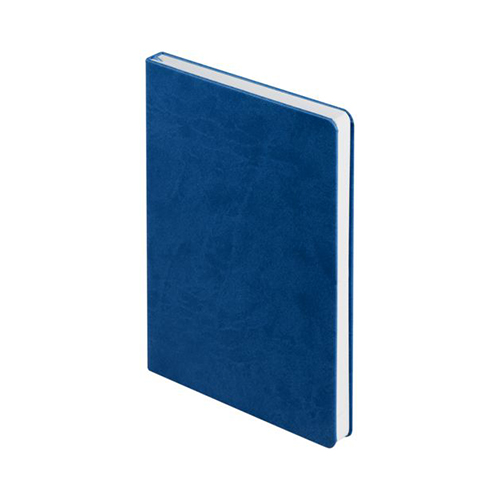 Ежедневник с твердой обложкой с логотипом (256 стр) Синий