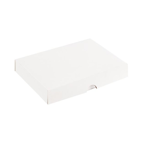 Плоская коробка с логотипом Белый