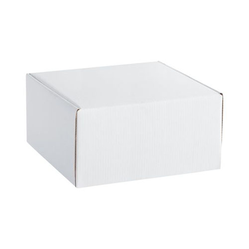 Коробка с логотипом Белый