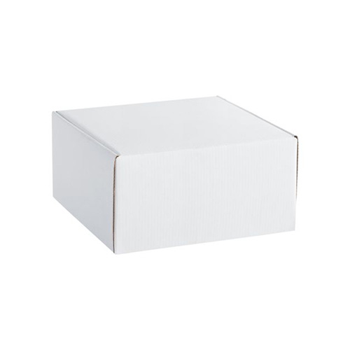 Коробка с логотипом, длина 21,5 см Белый